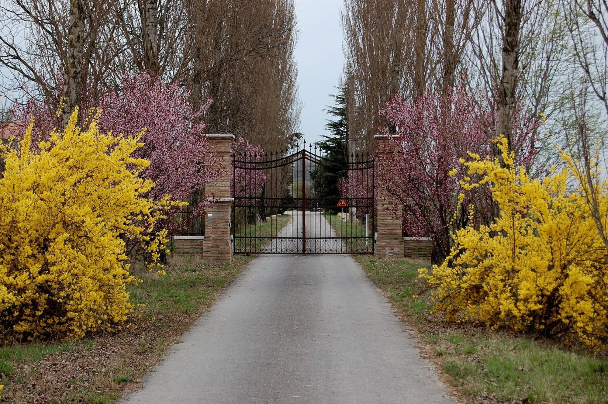 San Giorgio di Mantova Agriturismo Corte Rocca מראה חיצוני תמונה